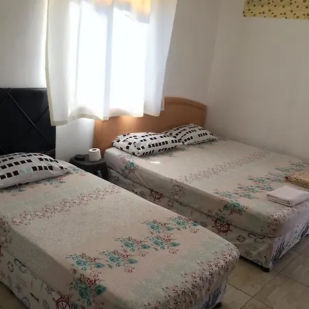 Soylu *